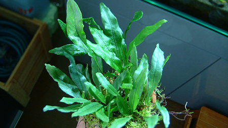 DSCF9137
