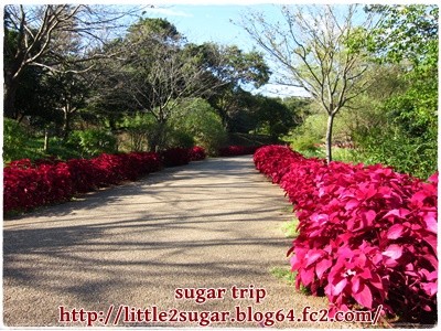 アンデルセン公園5