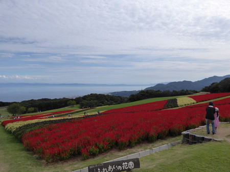 あわじ花さじき