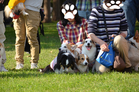 DSC_6213_edited-1