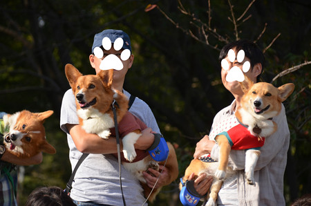 DSC_6223_edited-1