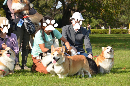 DSC_6251_edited-1