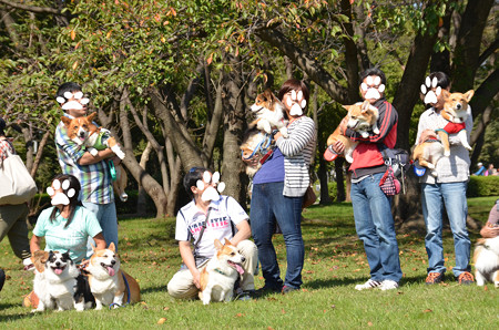 DSC_5754_edited-1