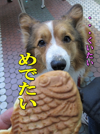 kui