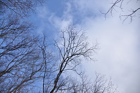 DSC_6268