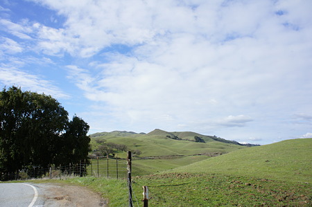 DSC02472