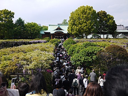 亀戸天神