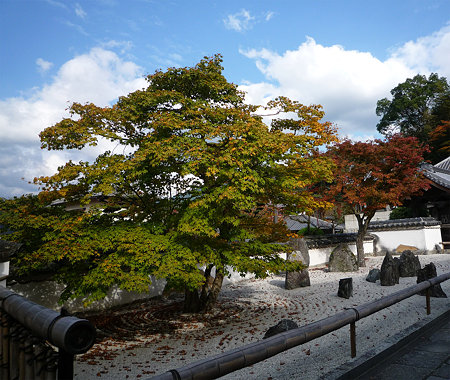 光明禅寺の紅葉