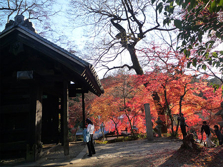 秋月~黒門の紅葉2009(1)
