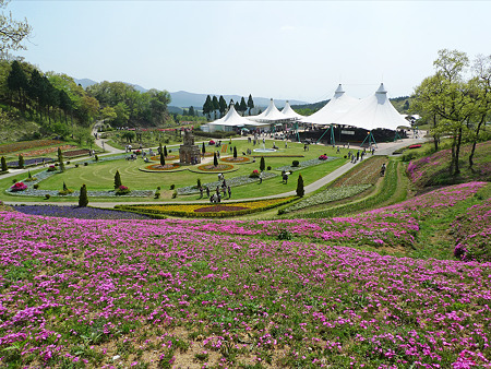 フラワーヒル菊池高原(1)