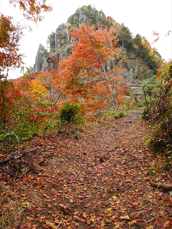 一目八景(33)落ち葉と観音岩