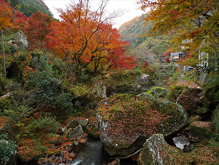 一目八景(35)巨大ニジマスの泳ぐ清流