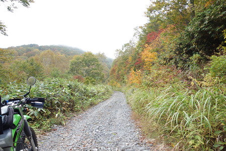 DSC06409