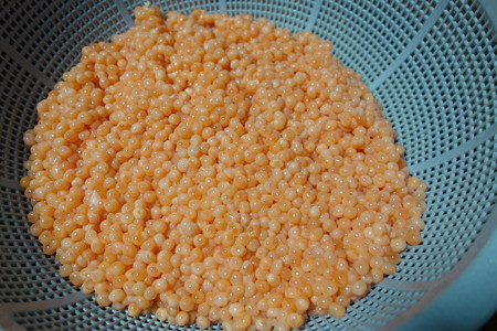 DSC06498