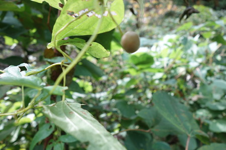 DSC06627