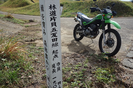 DSC06890