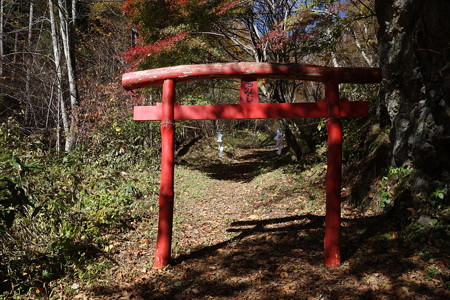 DSC07018