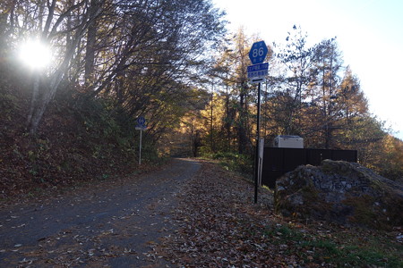 DSC07176