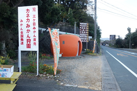 DSC07227