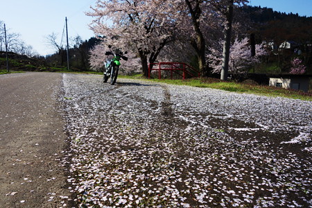 DSC00740