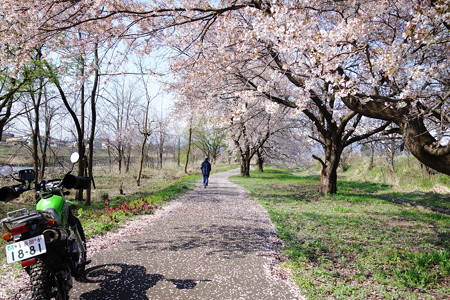 DSC00778 (1)