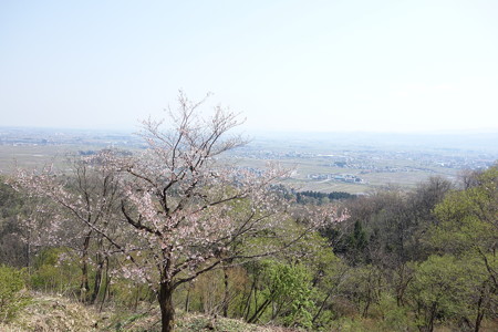 DSC00808