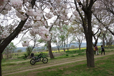 DSC00997