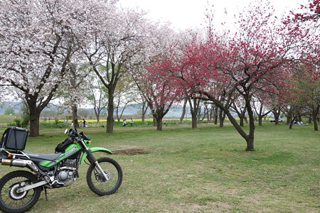 DSC01000