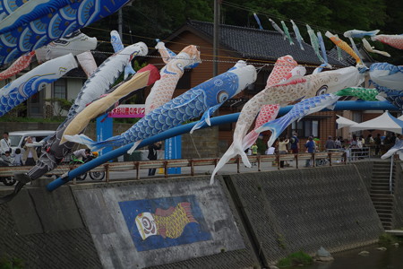 DSC01255