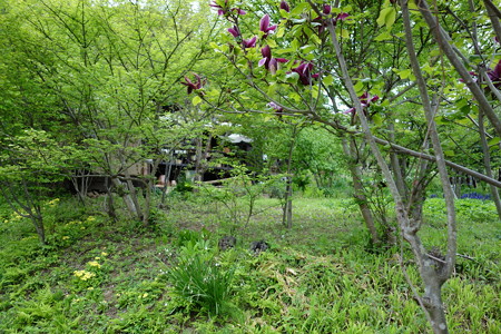 DSC01314