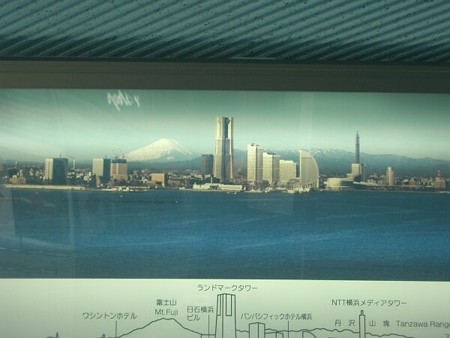 skywalk4