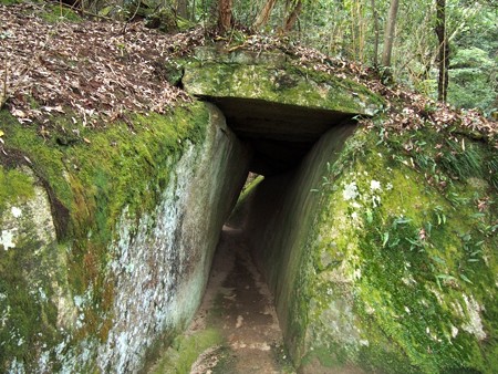 kasagitera44