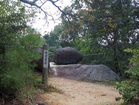 kasagitera53