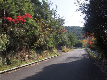 panoramatenboubridge_oturusaki02