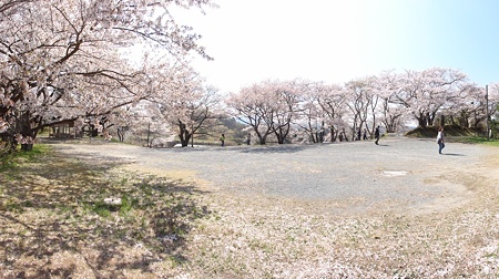 miharutakizakura_p7