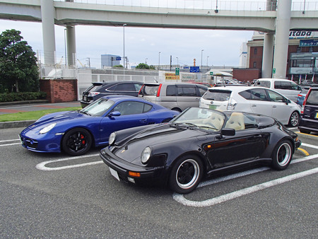 P8240181S