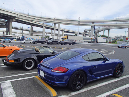 P8240183S