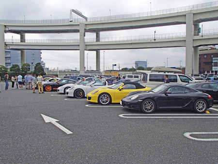 P8310189S