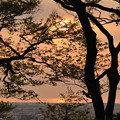 Photos: 卯辰山見晴らし台から　日本海と夕日