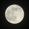 Photos: 昨晩の月　一年で一番小さな月＋ピンクムーン