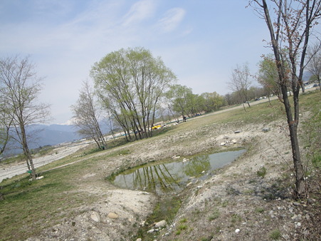 DSC05101