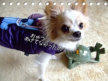 おやつなし?