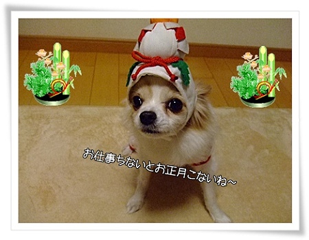 お正月こないね~