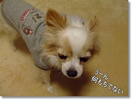 何もちないのに