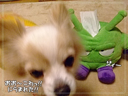 逃げろ