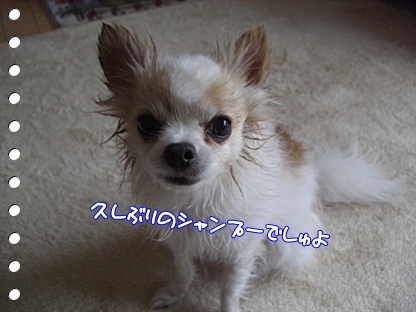 久し振り