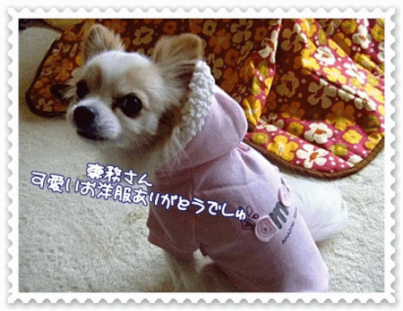 ありがとう