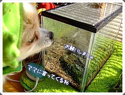 DSCF4978