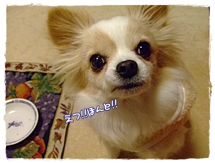 ほんと?
