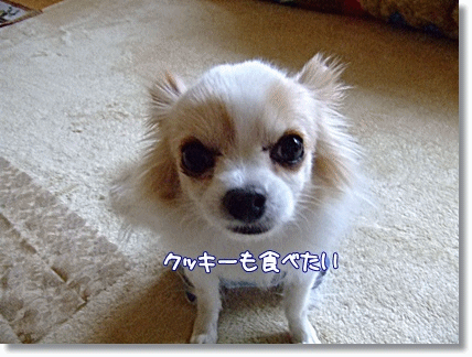 美味ちかった~